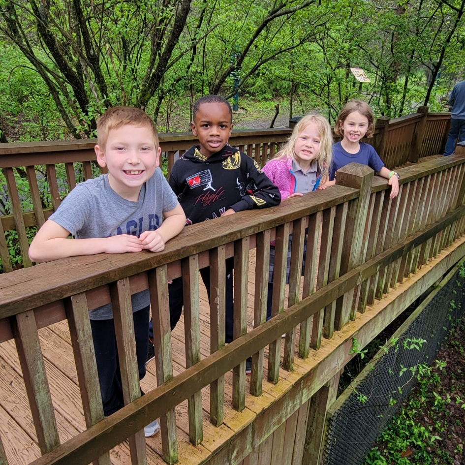 four students on a bridge in the woods